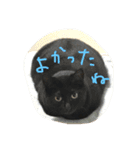 くろねこオキウト  日々まっくろけ（個別スタンプ：13）