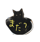 くろねこオキウト  日々まっくろけ（個別スタンプ：14）