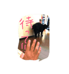 くろねこオキウト  日々まっくろけ（個別スタンプ：16）