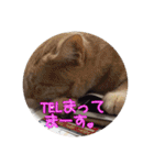 にゃんこの              つぶやき（個別スタンプ：23）