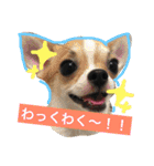 きなことあんこの喜怒哀楽（個別スタンプ：4）
