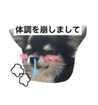 きなことあんこの喜怒哀楽（個別スタンプ：10）