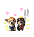 きなことあんこの喜怒哀楽（個別スタンプ：14）