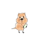 訳ありアニマル（個別スタンプ：1）
