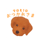 ワンコの日常スタンプ (ココちゃん)（個別スタンプ：2）