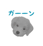 ワンコの日常スタンプ (ココちゃん)（個別スタンプ：3）