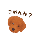 ワンコの日常スタンプ (ココちゃん)（個別スタンプ：12）