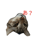 我が家の麦のスタンプ（個別スタンプ：4）