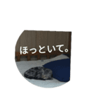 我が家の麦のスタンプ（個別スタンプ：8）