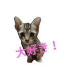 我が家の麦のスタンプ（個別スタンプ：18）