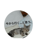 我が家の麦のスタンプ（個別スタンプ：22）