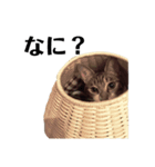海と山（個別スタンプ：6）
