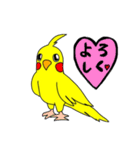 オカメインコのもんちゃん日常.関西弁.敬語（個別スタンプ：37）