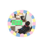 にほんご と ねこ と ねこ と いぬ（個別スタンプ：13）