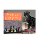 にほんご と ねこ と ねこ と いぬ（個別スタンプ：14）