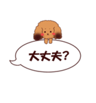 ふきだし でか文字 トイプードル（個別スタンプ：9）