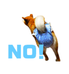 愛犬ココスタンプ（個別スタンプ：4）