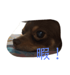 秋男＆momonaのスタンプ（個別スタンプ：5）