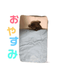秋男＆momonaのスタンプ（個別スタンプ：7）