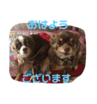 秋男＆momonaのスタンプ（個別スタンプ：8）