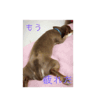 秋男＆momonaのスタンプ（個別スタンプ：9）