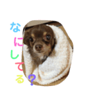 秋男＆momonaのスタンプ（個別スタンプ：12）