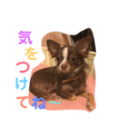 秋男＆momonaのスタンプ（個別スタンプ：14）