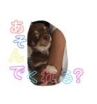 秋男＆momonaのスタンプ（個別スタンプ：15）