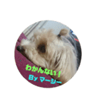 マーシーのスタンプ（個別スタンプ：11）