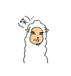 語尾が…ヂョンさんアルパカ 関西弁（個別スタンプ：2）