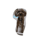GODIVA（個別スタンプ：1）