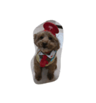 GODIVA（個別スタンプ：3）