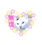 猫まみれ一言ニャン（個別スタンプ：3）
