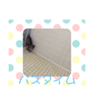 猫まみれ色々タイム（個別スタンプ：1）