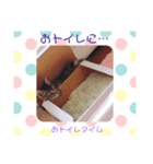 猫まみれ色々タイム（個別スタンプ：2）