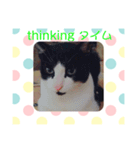 猫まみれ色々タイム（個別スタンプ：3）