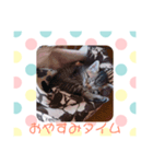 猫まみれ色々タイム（個別スタンプ：7）