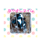 猫まみれ色々タイム（個別スタンプ：8）