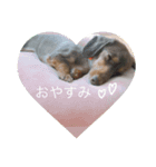わたしのすたんぷ ft（個別スタンプ：1）