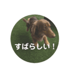 わたしのすたんぷ ft（個別スタンプ：4）