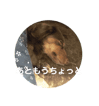 わたしのすたんぷ ft（個別スタンプ：5）