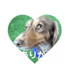 わたしのすたんぷ ft（個別スタンプ：6）