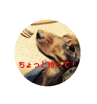 わたしのすたんぷ ft（個別スタンプ：7）