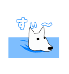 動く白い犬（個別スタンプ：4）