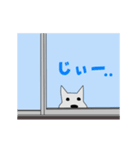 動く白い犬（個別スタンプ：6）