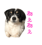 ロコの気持ち（個別スタンプ：6）