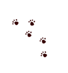 オレンジ ねこ (日本語)（個別スタンプ：5）