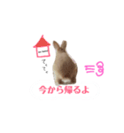 ミルクティー色のてぃーくんの日常3（個別スタンプ：5）
