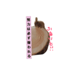 ミルクティー色のてぃーくんの日常3（個別スタンプ：7）