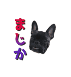 ふれぶるず（個別スタンプ：3）